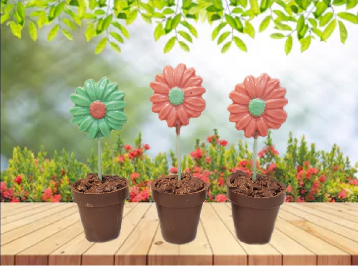 chocolate plant pot Chocolate Flower Pot (4) – Beaverdale Confections