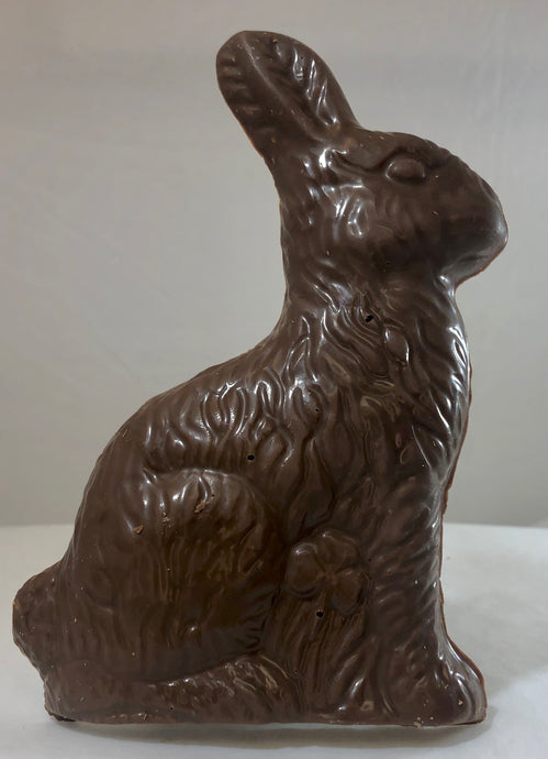 Crunchy Chocolate  Easter Bunny